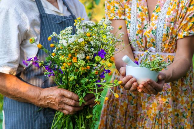 domande sulla vendita dei fiori