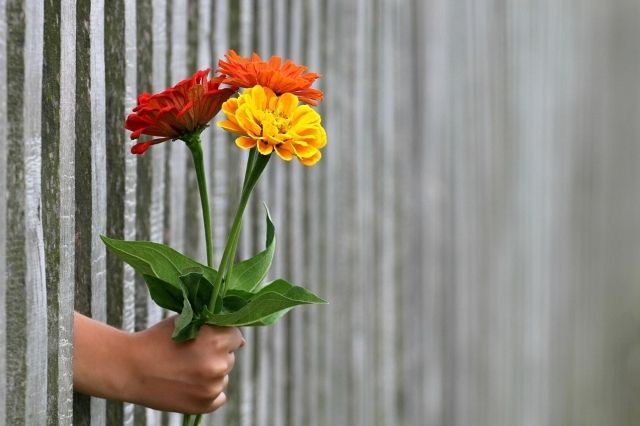 fiori posto di lavoro