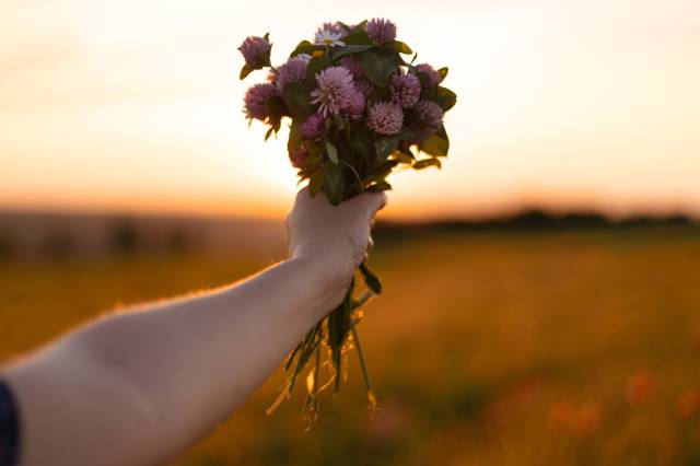 fiori per farsi perdonare