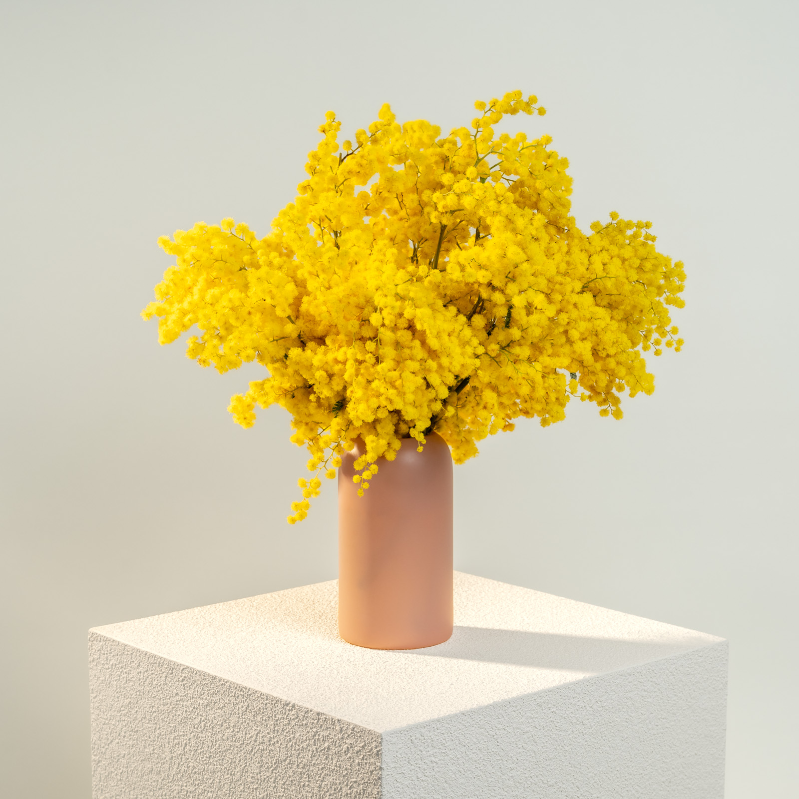 efiori-mazzo-di-mimosa