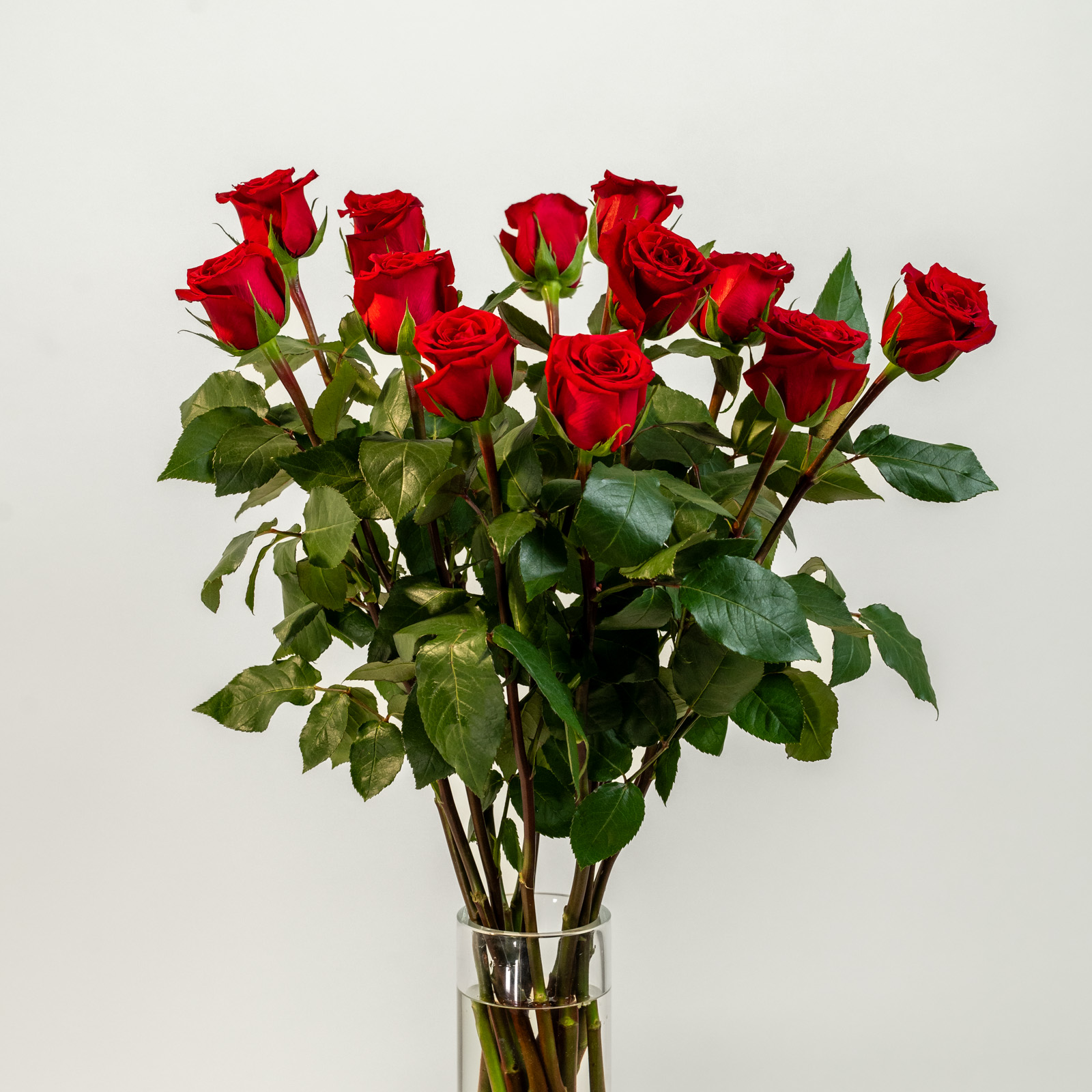 efiori-dozzina-di-Rose-Rosse