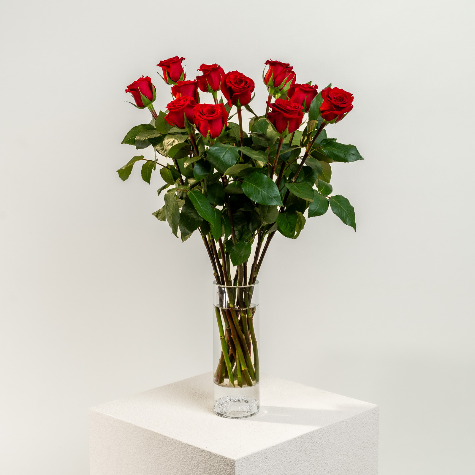 efiori-dozzina-di-Rose-Rosse-02