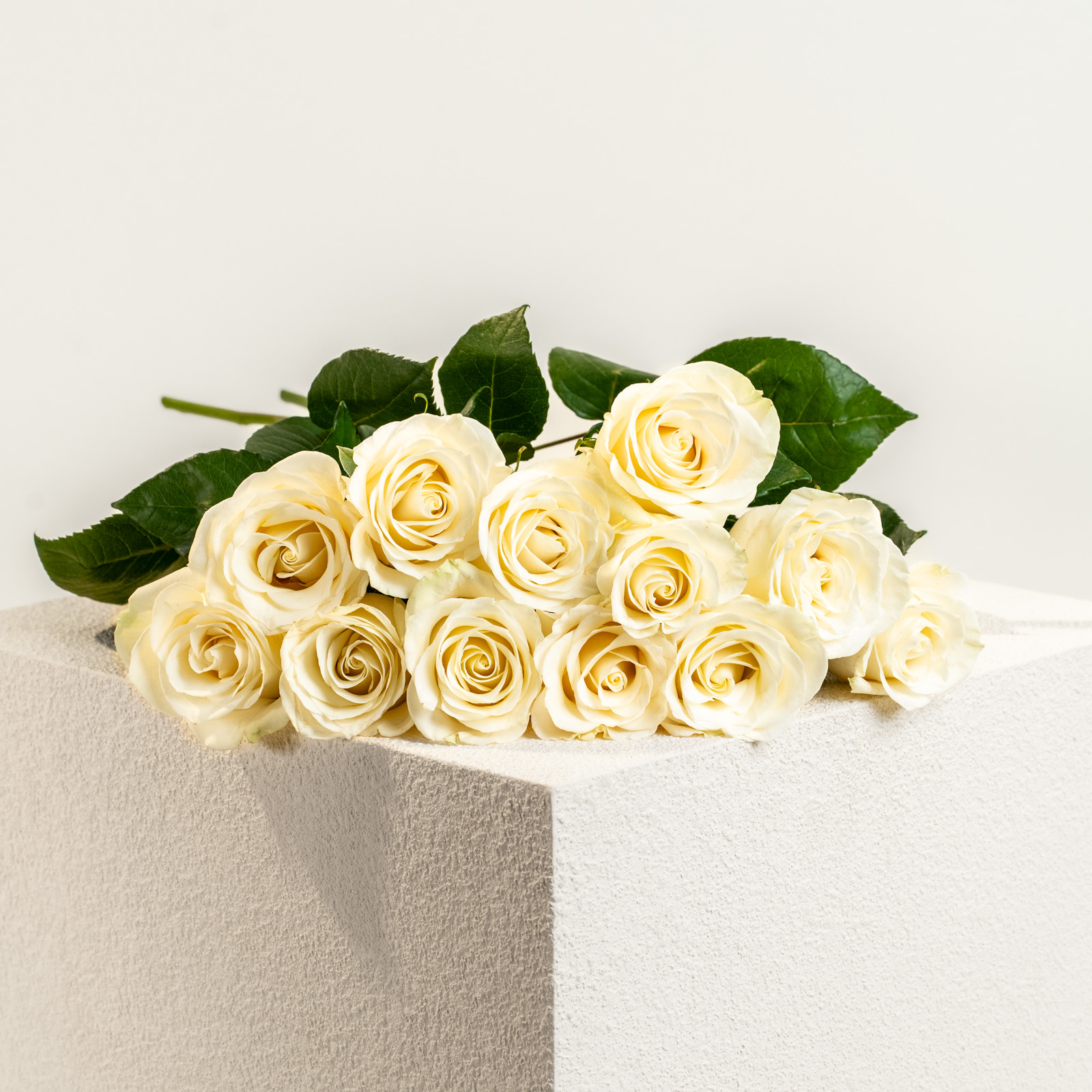 efiori-Dozzina-di-rose-bianche-04