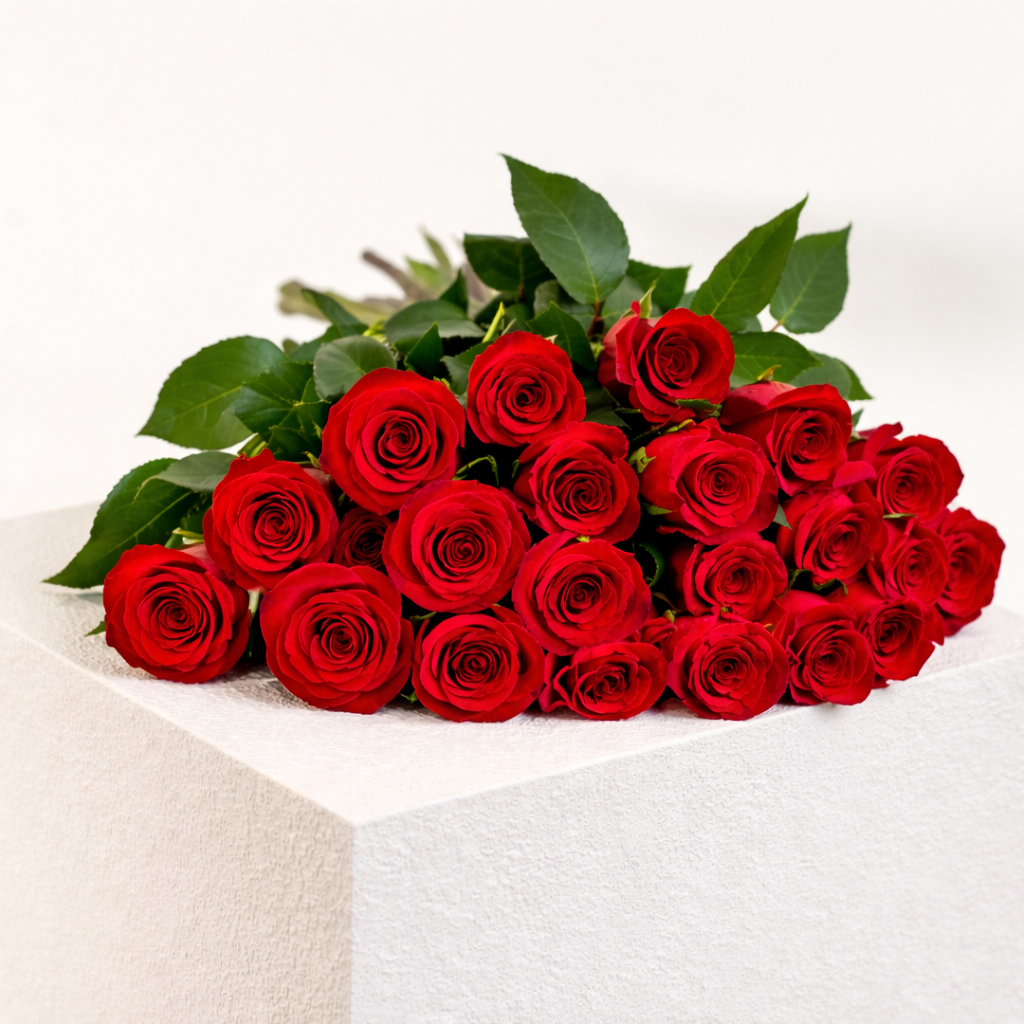 24 rose rosse primo piano